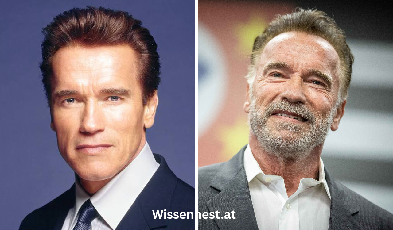 Arnold Schwarzenegger Vermögen